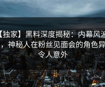 【独家】黑料深度揭秘：内幕风波背后，神秘人在粉丝见面会的角色异常令人意外