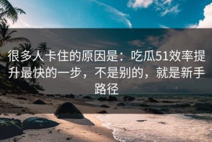 很多人卡住的原因是：吃瓜51效率提升最快的一步，不是别的，就是新手路径