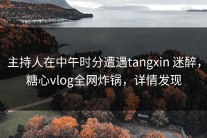 主持人在中午时分遭遇tangxin 迷醉，糖心vlog全网炸锅，详情发现