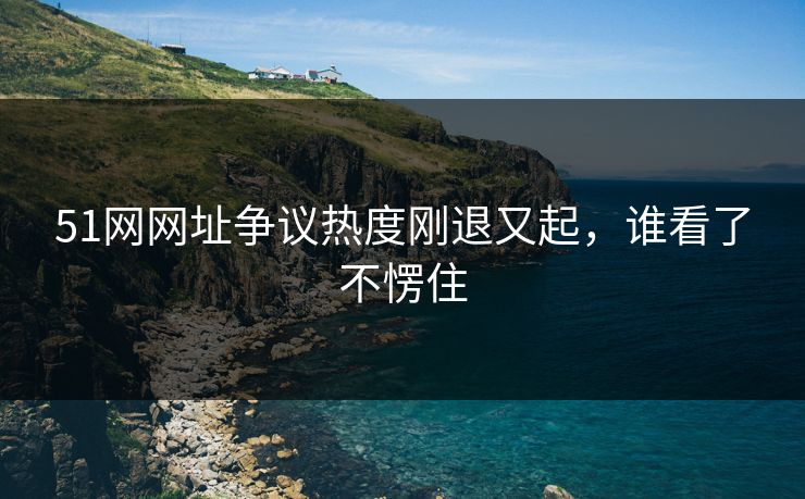 51网网址争议热度刚退又起，谁看了不愣住