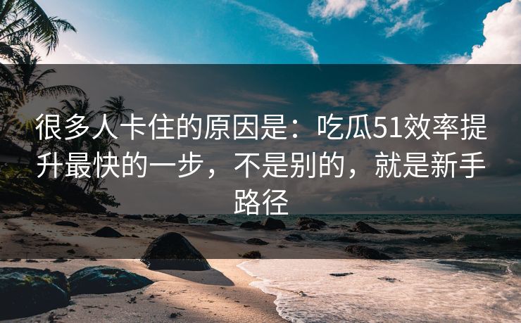 很多人卡住的原因是：吃瓜51效率提升最快的一步，不是别的，就是新手路径